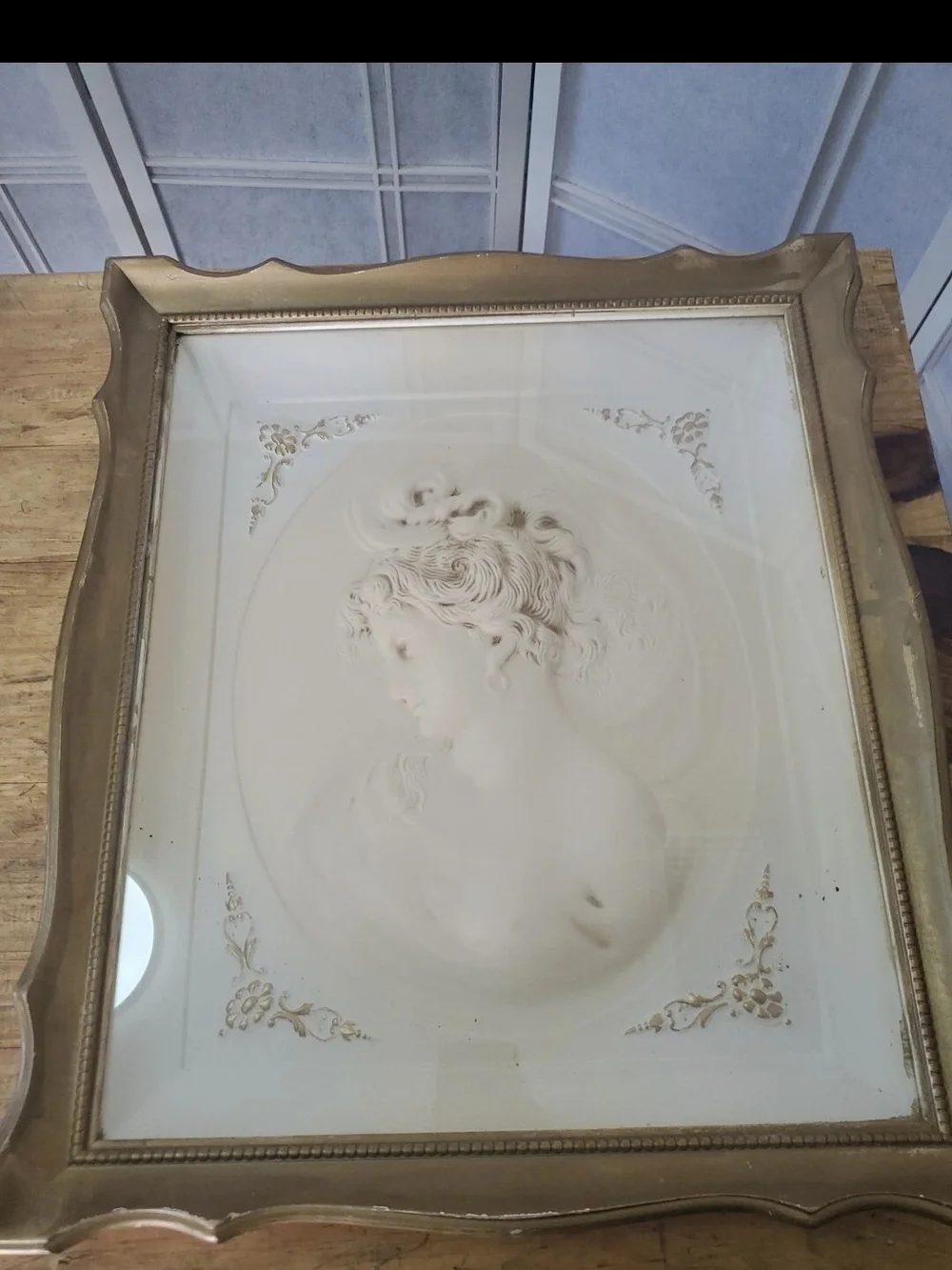 Vintage Gold-Framed Relief Portrait Wall Art - Elegant Female Bust 17X20